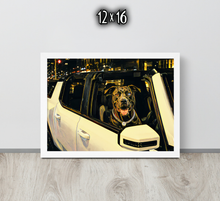 FRAMED POSTER: FOUND  | MY DAWG COLLECTION