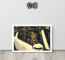 FRAMED POSTER: FOUND  | MY DAWG COLLECTION