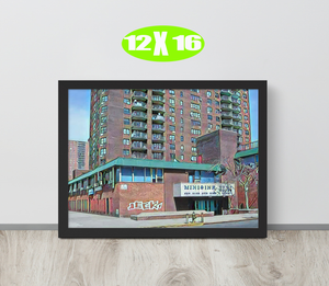FRAMED POSTER: MINISINK: Harlem Streets -The Art Collection