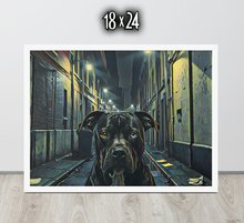 FRAMED POSTER: LOST: Late Night Streets  | MY DAWG COLLECTION